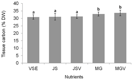 Comparison of tissue carbon (C) of Gracilaria tikvahiae grown at different fertilizers. VSE, von Stosch enrichment media; JS, Jack’s Special only (N : P : K, 21 : 8 : 18); JSV, JS with vitamins; MG, Miracle-Gro only (N : P : K, 24 : 8 : 16); MGV, MG with vitamins. Error bars represent standard deviation. Different letters indicate significant difference at the 0.05 level.