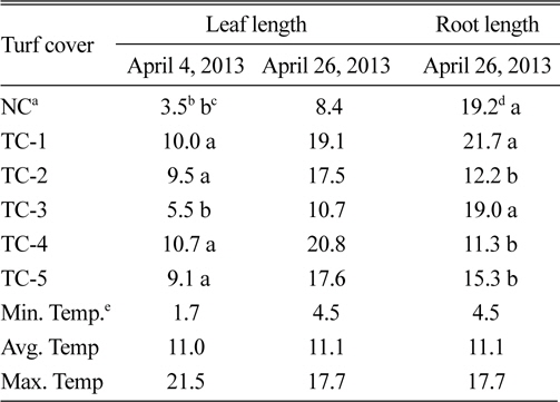 Mean turfgrass leaf and root length for turf cover main effect.