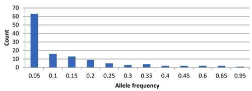 Histogram of allele frequencies for all 122 alleles in the 82 amaranth accessions.