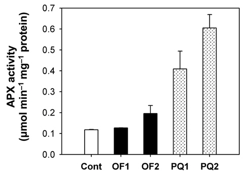 Effects of oxyfluorfen and paraquat on enzyme activities of ascorbate peroxidase (APX). The 4-week-old rice plants were subjected to the foliar application of either 50 μM oxyfluorfen or 100 μM paraquat. Cont: untreated control; OF1: 1 day after oxyfluorfen treatment; OF2: 2 days after oxyfluorfen treatment; PQ1: 1 day after paraquat treatment; PQ2: 2 days after paraquat treatment. The data represent the mean±SE of 6 plants from two independent experiments.