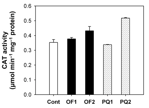 Effects of oxyfluorfen and paraquat on enzyme activities of catalase (CAT). The 4-week-old rice plants were subjected to the foliar application of either 50 μM oxyfluorfen or 100 μM paraquat. Cont: untreated control; OF1: 1 day after oxyfluorfen treatment; OF2: 2 days after oxyfluorfen treatment; PQ1: 1 day after paraquat treatment; PQ2: 2 days after paraquat treatment. The data represent the mean±SE of 6 plants from two independent experiments.