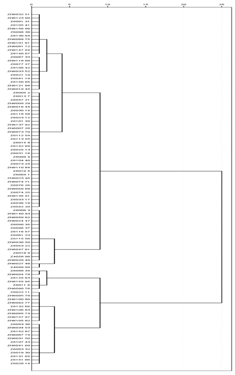 Cluster dendrogram of interspecific hybrid zoysiagrasses based on Euclidean distance from seed morphological traits. The Z and ZN is collection code of zoysiagrasses native to South Korea.