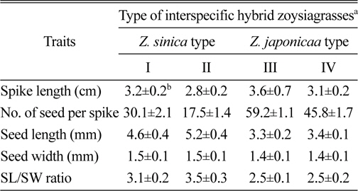 The characteristics of 2 groups classified using seed morphological traits of interspecific hybrid zoysiagrasses collected from South Korea.