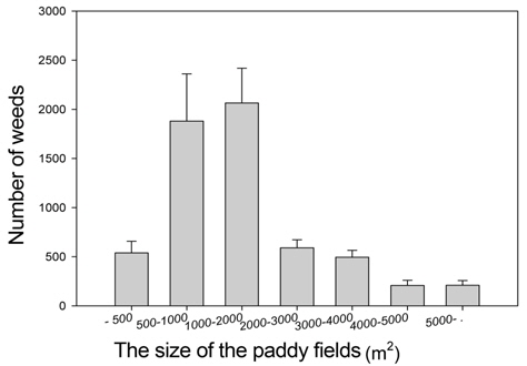 The relation between the numbers of weed occurred in each paddy field and the size of paddy fields.