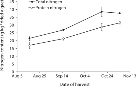 Increases in total and protein nitrogen of Gracilaria tikvahiae harvested from Long Island Sound (LIS) and the Bronx River Estuary (BRE), New York, USA during Summer and Fall 2011. August 16, September 15, and November 4 harvests were at the LIS site. October 19 harvest was at the BRE site. Values are mean ± standard deviation, n = 3, except for protein nitrogen at the BRE site where n = 2.