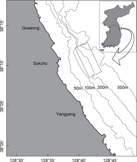 Map showing the sampling site of flathead flounder Hippogloides dubius off Gangwon Province, East Sea of Korea.