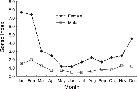 Monthly change of GI (Gonad Index) of female and male of fl athead fl ounder Hippogloides dubius.