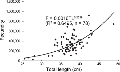 Fecundity estimations of flathead flounder Hippogloides dubius related to the total length.
