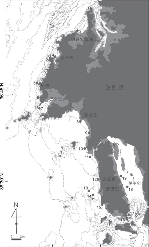 A map showing the study area and the sampling sites. Bathymetry is related to approximate lowest low water level.