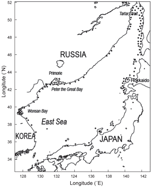 Spawning areas of walleye pollock Theragra chalcogramma in the East Sea. Four major spawning stocks located in the Wonsan Bay, the Peter the Great Bay, Tartar Strait, and off the western Hokkaido, and several local stocks along the rim of the coast are indicated by dots [from Kim and Kang (1998)].