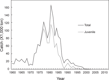 Annual yields of walleye pollock Theragra chalcogramma in the southern part of the Korean Peninsula. Catch statistics (dotted line) between 1975 and 1997 indicate the portion of juvenile catches.