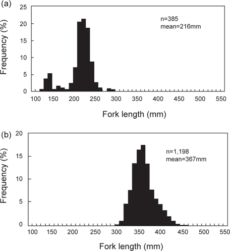 Length-frequency of walleye pollock Theragra chalcogramma caught from (a) Danish seine in 1960s and 1970s and (b) drift gill net fisheries in the early 1980s.