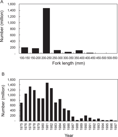 Walleye pollock Theragra chalcogramma numbers estimated in size class and at recruitment size. (a) Length-frequency distribution of walleye pollock estimated in 1981, and (b) recruitment variability of walleye pollock in the southwestern East Sea assuming the recruitment size at 200-250 mm.