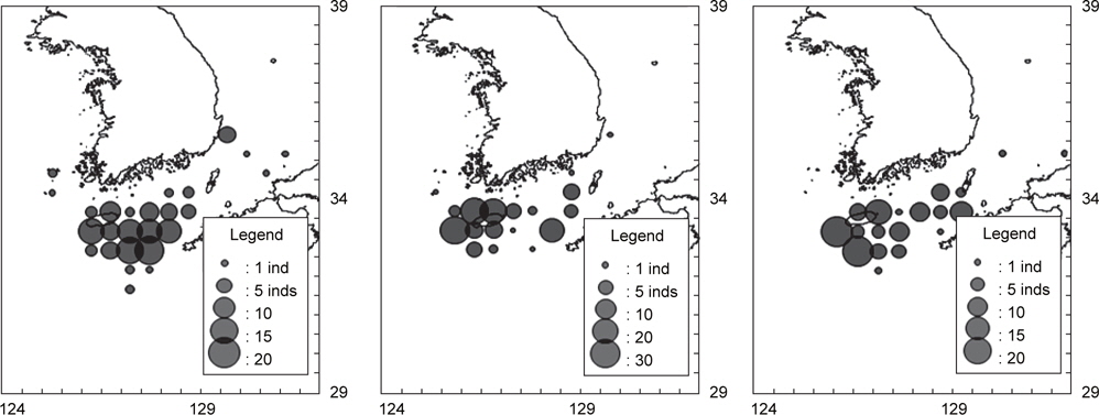 Catch distribution of sunfish Mola mola caught by purse seine off Korean waters from 2010 to 2012. Left is 2010, middle 2011, and right 2012.