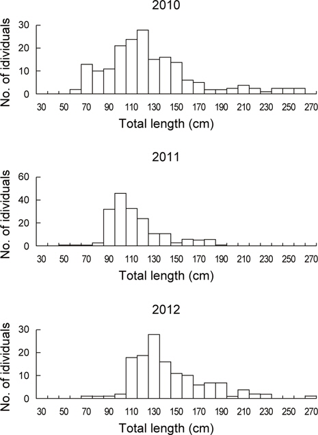 Total length distribution of sunfish Mola mola caught off Korean waters from 2010 to 2012
