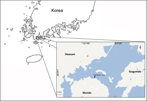 Location of sample collection stations in Yeonghueng-ri, Wando coast, between June 2011 and October 2012.