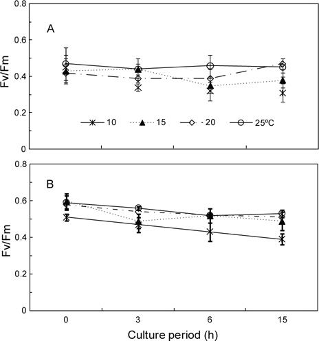 Effect of temperature on change in the photosynthetic efficiency (Fv/Fm) of Lithophyllum yessoense (A) and Hildenbrandia rubra (B). Vertical bars represent standard errors of three replicates.