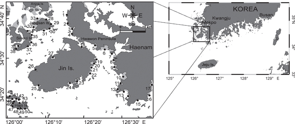 A map showing the location of study area and the sampling sites for analyzing the trace metals in intertidal sediment from Mokpo-Haenam coast in October 2009.