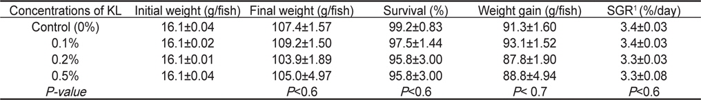 Survival, weight gain (g/fish) and specific growth rate (SGR) of olive flounder Paralichthys olivaceus fed the extruded pellets containing the various concentrations of Kimchi lactic acid bacterial culture (KL) for 8 weeks