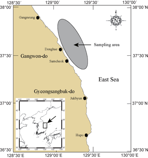 Sampling area of Lycodes tanakae caught by eastern sea danish seine and gill net in the coastal waters of the middle East Sea.