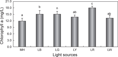 Comparison of chlorophyll a content of Nannochloropsis sp. at various light sources. Symbols are as in Fig. 1. Different letters on the bars indicate a signifi cant at (P<0.05).