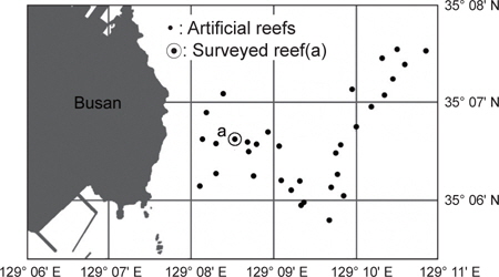 Locations of artifi cial reefs (●) installed at Suyeong Man, Busan, and an artifi cial reef site (a, 35° 06.656′ N, 129° 08.492′ E) surveyed in this study.