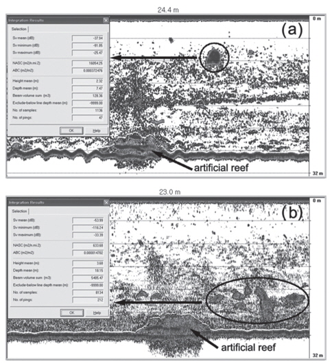 Echograms of split-beam echo sounder recorded at the artifi cial reef site of the location of Fig. 1(a) on 24 August, 2006. (a) with a midwater fi sh aggregation hovering just above artifi - cial reefs at 10:54. (b) with bottom fi sh aggregations swimming through and around artifi cial reefs at 15:30.