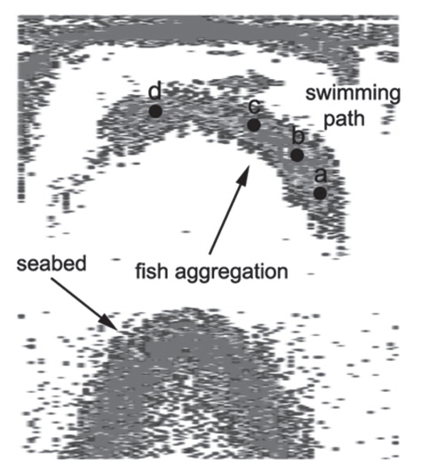Movement trajectory and the echo centers of fish aggregations extracted from Cartesian coordinates of imaging sonar images of Fig. 7.