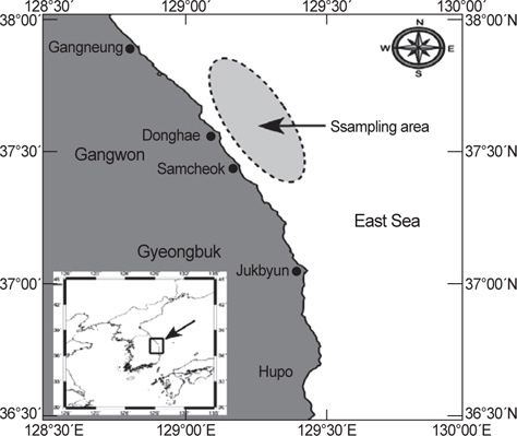 Map showing the sampling area of Lycodes tanakae caught by the eastern sea Danish seine and gill net in the coastal waters of middle East Sea.