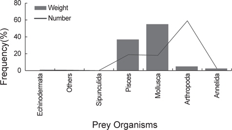 Frequency on total individual numbers and wet weight of the prey organisms of Lycodes tanakae in the coastal waters of middle East Sea.