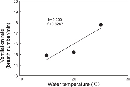 Ventilation rate of longtooth grouper Epinephelus bruneus at water temperature of 15, 20 and 25℃. The number in the figure is the slope (b) and value of r2.