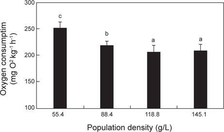 The change of oxygen consumption (mg O2 kg-1 h-1) in longtooth grouper Epinephelus bruneus under population density (Means±SD, water temperature 20℃, light period). The differ alphabets above column of the same pattern mean significant difference (P<0.05).