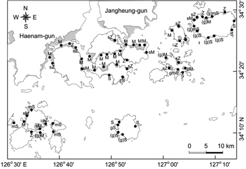 The distribution of sedimentary type in the intertidal zone of coastal islands in the southern region of Jeollanam Province (Abbreviations: Z - silt; sZ - sandy silt; M - mud; (g)M - slightly gravelly mud; sM - sandy mud; S - sand; zS - silty sand; mS - muddy sand; (g)S - slightly gravelly sand ; gmS - gravelly muddy sand; (g)mS - slightly gravelly muddy sand).