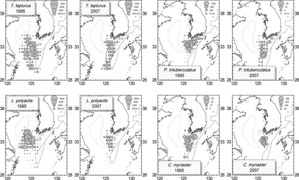 Comparison of catch distribution of main species in the large pair trawler in 1995 and 2007.