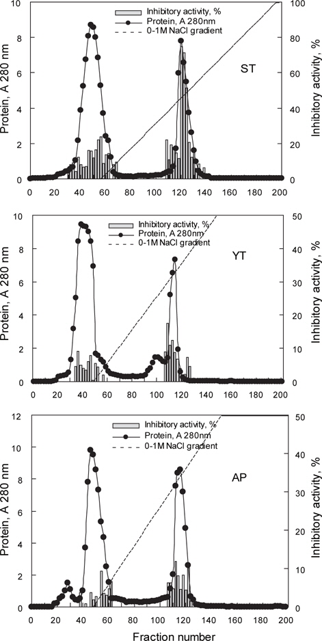 Chromatogram of crude extracts of skipjack tuna (ST, K. pelamis), yellowfin tuna (YT, T. albacares) and Alaska pollock (AP T. chalcogramma) eggs by the DEAE-sepharose CL-6B column (i.d. 2.6 x 20 cm) anion exchange chromatography. Flow rate and fraction volume were 40 mL/hr and 3 mL/tube, respectively, eluted with in the range of 0-1M NaCl gradient.