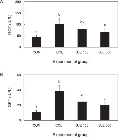 Effects of SJE on serum GOT and GPT activities in CCl4- induced rat. CON is control group without CCl4 administration. CCl4 (distilled water 1.5 mL/rat) and SJE 150, 300 (S. japonica Extract 150, 300 mg/kg rat, i.g) group were oral administrated to rat for 10 days before CCl4 treatment. Different superscripts represent significantly different results (P<0.05)