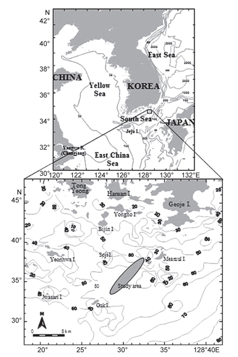 A map showing sampling sites in Maemuldo, southern sea of Korea. Gray rounded area indicates sampling area.