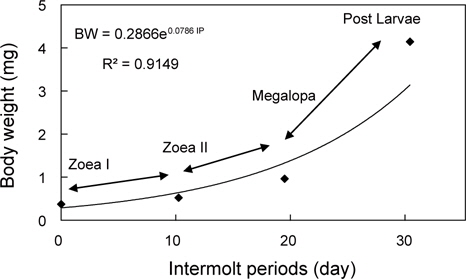 Relationship between intermolt periods (day) and dry weight (mg) of Pandalopsis japonica larvae by rearing period after hatching to zoea larvae.