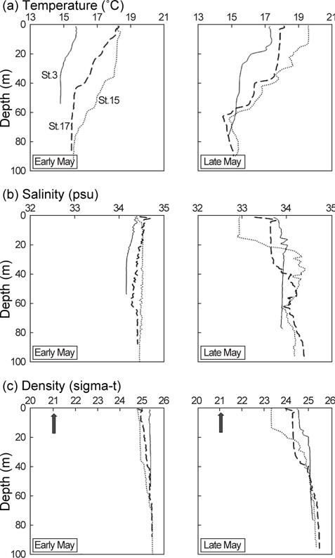 Vertical profiles of (a) temperature (°C), (b) salinity (psu), and (c) density (sigma-t) measured at station 3 (solid line), station 15 (dotted line), and station 17 (dashed line) in early May and late May. Arrows indicate mean egg specific gravity of early developmental stages from S1-S7 measurements.