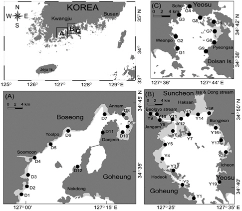 The map showing the sampling sites of intertidal sediment in the study region (A: Deukryang Bay, B: Yeoja Bay, C: Gamak Bay).