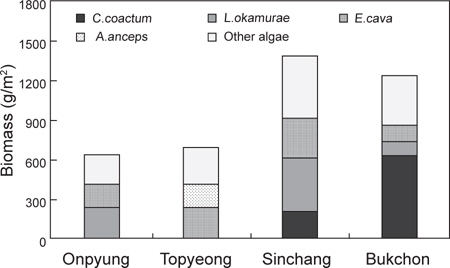 Annual mean biomass (g wet wt/m2) of dominant species at four study sites in Jeju Island, Korea, from March to November 2012.