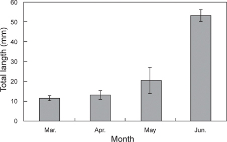 Monthly variations in total length (mm) of larvae and juveniles of sandfish Arctoscopus japonicus in the coastal waters off Gangwondo of Korea from March to July 2011.