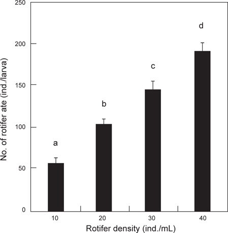 The daily feeding quantities (Mean±SD) of first feeding fighting fish Betta splendens larvae supplied rotifers Brachionus calyciflorus of the different densities. Bars with different superscript are significantly different (P<0.05).