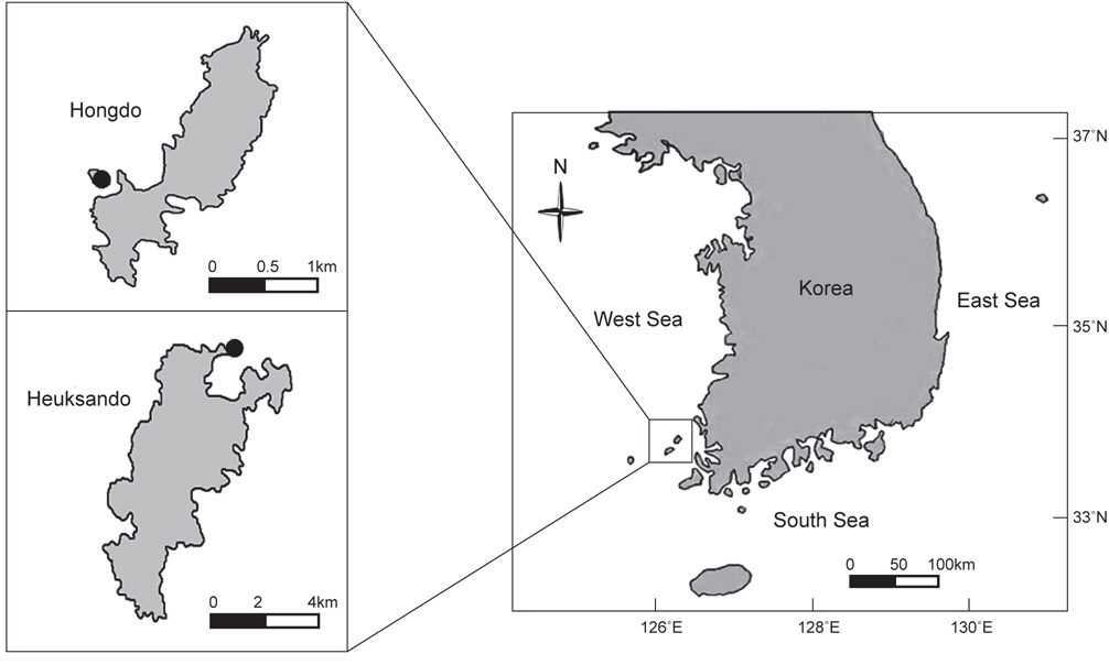 A map of study sites and the location of Heuksando and Hongdo Islands, Korea.
