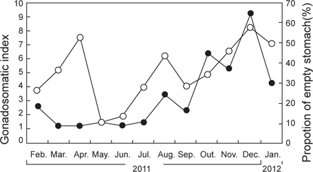 Monthly changes of gonadosomatic indiex (GSI) and propotion of empty stomach (%) of Gymnocanthus herzensteini sampled in the coastal waters off Mukho, Gangwondo of Korea.