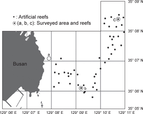 Locations of artificial reefs (●) installed at Suyeong Man and locations of a natural rocky area (a) and two artificial reef areas (b, c) surveyed in this study.