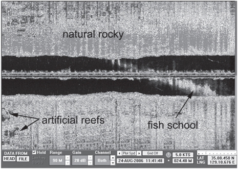 Echo image of a large fish school recorded by side-scan sonar around the natural rocky fishing grounds of Suyeong Man on August 24, 2006. The image was recorded at a range of 90 m with a gain of 20 dB. The image of artificial reefs installed at the location of Fig. 1(c) was displayed.