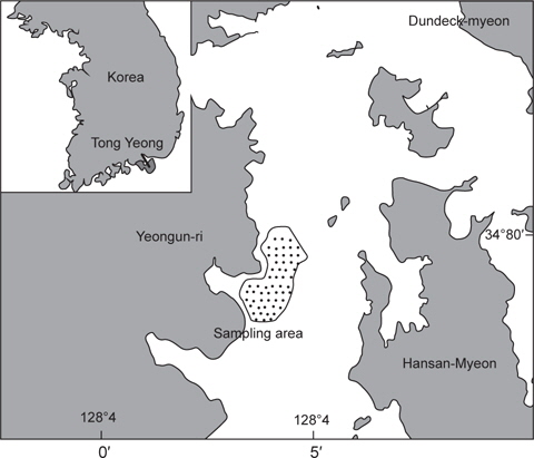 Sampling area of sea squirt Halocynthia roretzi.