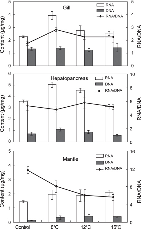 Changes in organ RNA/DNA ratio of the sea squirt Halocynthia roretzi at different culture temperatures.
