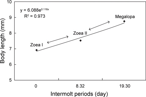 Relationship between intermolt period and body length of Lebbeus groenlandicus for the different larval stages.